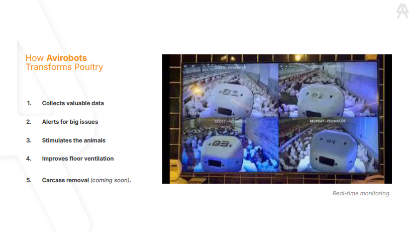 Slide 4